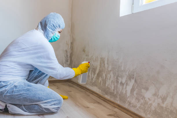 Licensed Commercial Mold Remediation service in Malvern, PA - Car Mold Remediation